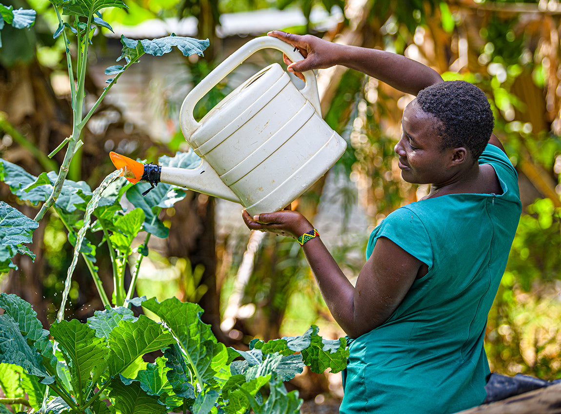 Une femme soulève un grand arrosoir pour donner de l’eau à des plantes luxuriantes.