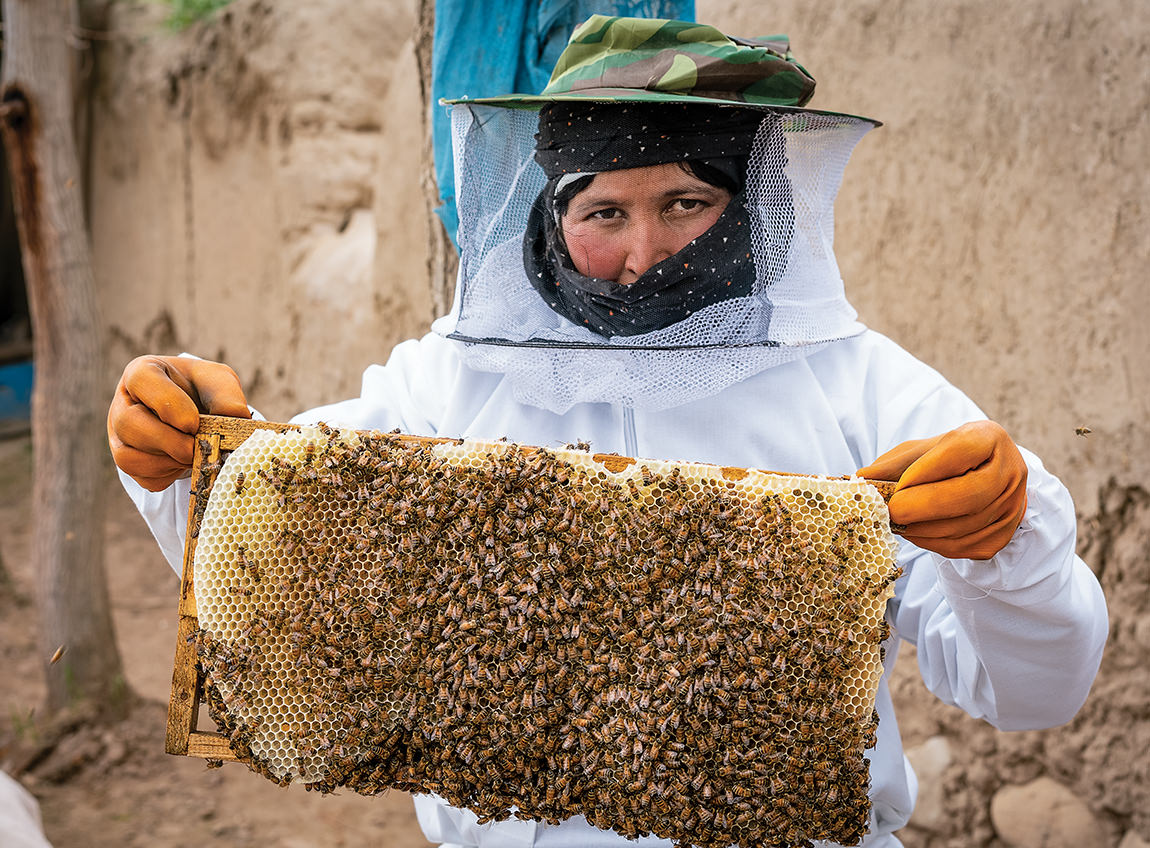 Un apiculteur vêtu d’un équipement de protection complet soulève un rayon de miel rempli d’abeilles.