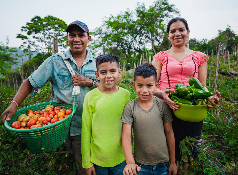 Une famille souriante se tient dans son jardin. Le père porte un panier de tomates, la mère un bol de piments verts. Leurs deux fils se tiennent devant eux. Derrière eux, le paysage est rempli de verdure.