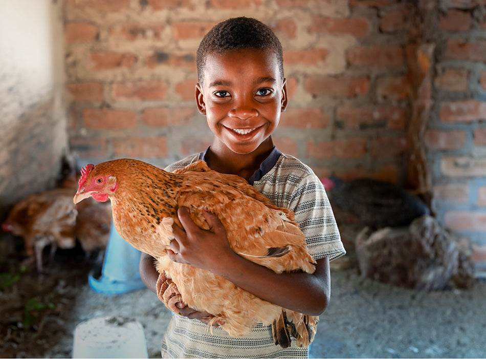 Un petit garçon sourit en tenant une poule dans ses bras.