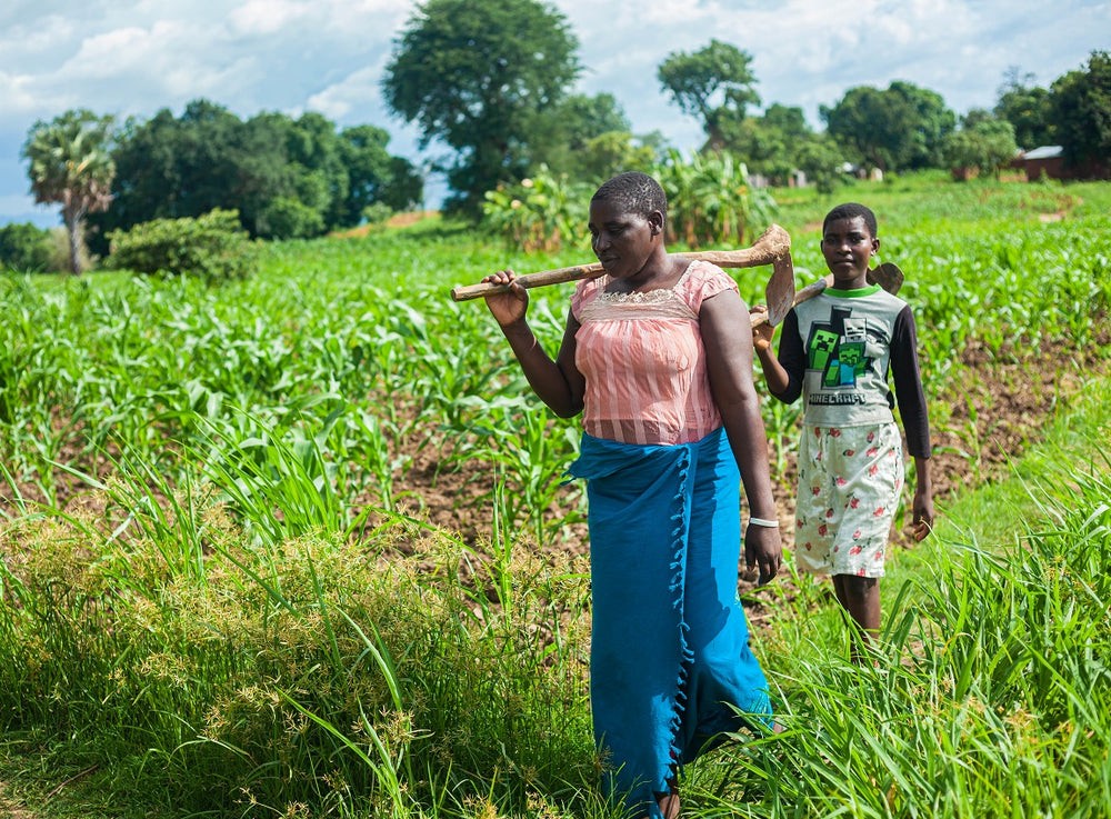 Une femme et une adolescente marchent dans un grand jardin cultivé, en portant des outils.
